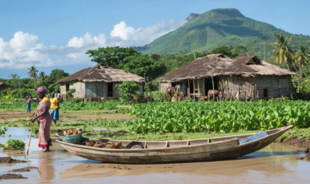 découvrez ganere, une immersion authentique au cœur du nord-ouest haïtien, révélant ses traditions, paysages et cultures uniques.