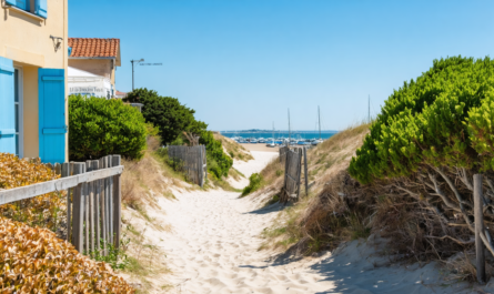 découvrez notre guide pratique pour visiter le quartier de l’île penotte aux sables d’olonne, avec toutes les informations essentielles pour un séjour réussi.